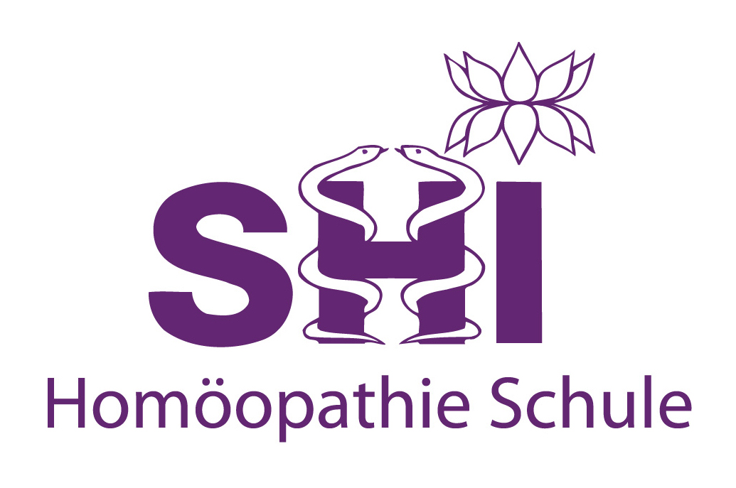 Logo SHI Schule